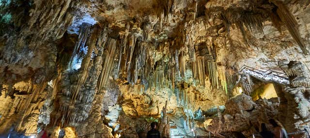 Excursión a la Costa Tropical y la Cueva de Nerja en Granada