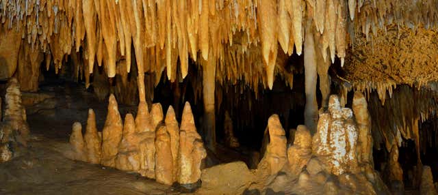 Excursión a la Cueva El Soplao en grupo reducido en Torrelavega