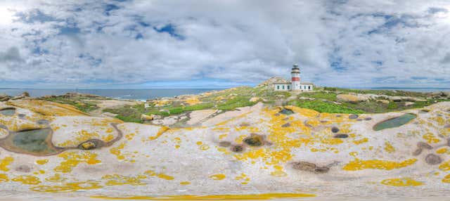 Excursión a la isla de Sálvora en El Grove