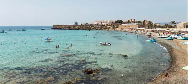 Excursión a la isla de Tabarca y el palmeral de Elche en Alicante