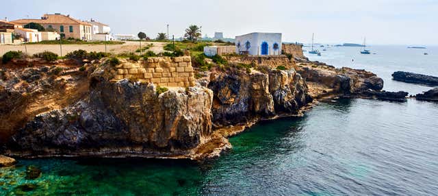 Excursión a la isla de Tabarca y el palmeral de Elche en Valencia