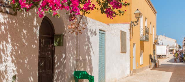 Excursión a la isla de Tabarca y el palmeral de Elche en Benidorm