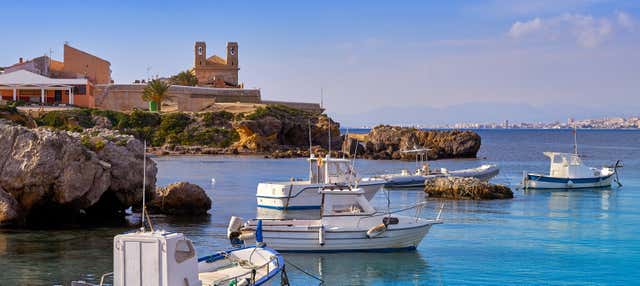 Excursión a la isla de Tabarca y el palmeral de Elche en Cullera