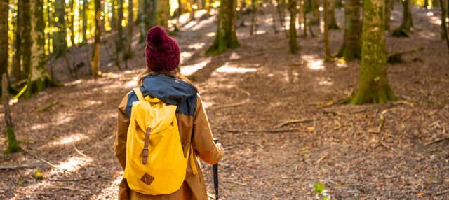 Excursión a la Selva de Irati y Ochagavía en Pamplona