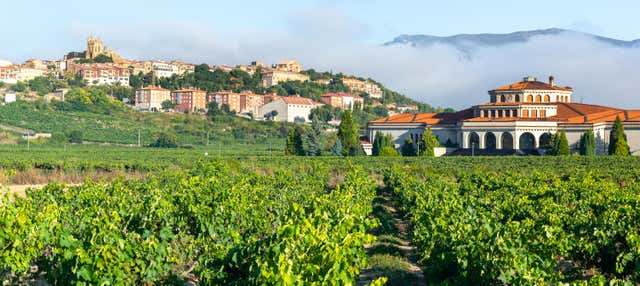 Excursión a Laguardia y Haro con visita a dos bodegas en Bilbao