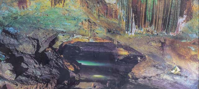 Excursión a las cuevas de San José en Castellon De La Plana