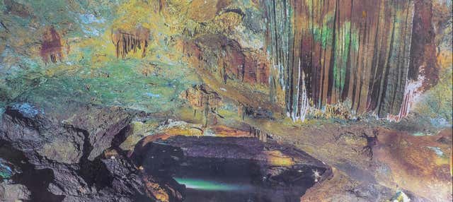 Excursión a las cuevas de San José en Oropesa Del Mar