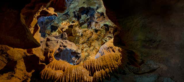 Excursión a las cuevas de San José en Valencia