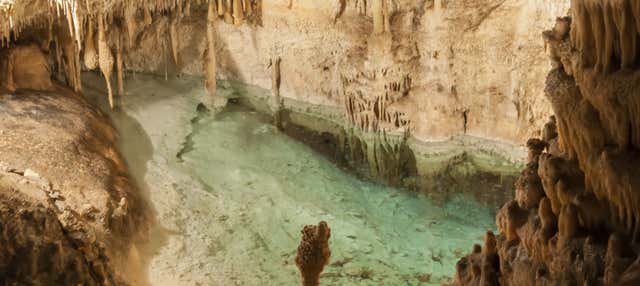 Excursión a las cuevas del Drach de día completo desde el sur de Mallorca en Santa Ponsa
