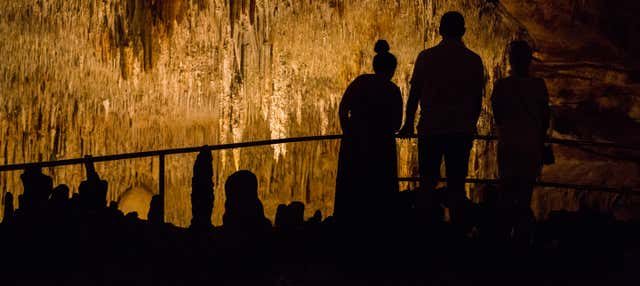 Excursión a las cuevas del Drach desde el norte y este de Mallorca en Porto Cristo