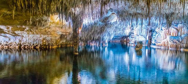 Excursión a las cuevas del Drach para cruceros en Palma Mallorca