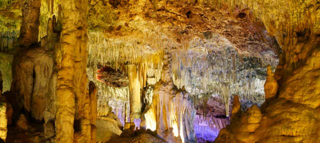 Excursión a las cuevas del Hams y Dinosaurland en Cala Rajada