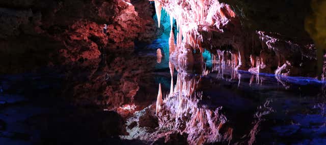 Excursión a las cuevas dels Hams y Dinosaurland en Colonia De San Jorge