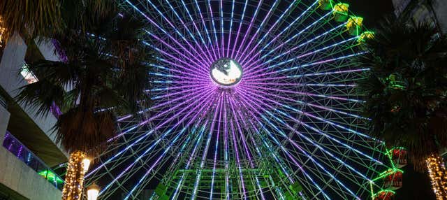Excursión a las luces de Navidad de Vigo en Santiago De Compostela