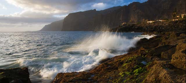 Excursión a Los Gigantes, Icod, Puerto de la Cruz y Candelaria en La Caleta