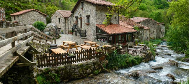 Excursión a los Picos de Europa + Cueva del Queso de Cabrales con degustación en Gijon