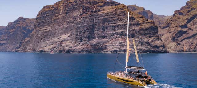 Excursión a Masca y Los Gigantes con avistamiento de ballenas y delfines en Costa Adeje