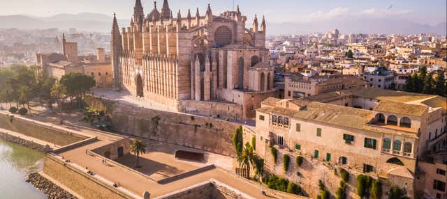 Excursión a Palma de Mallorca en Cala Rajada