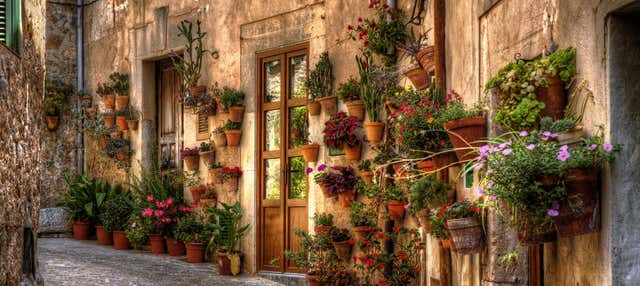 Excursión a Palma y Valldemosa en Cala Millor