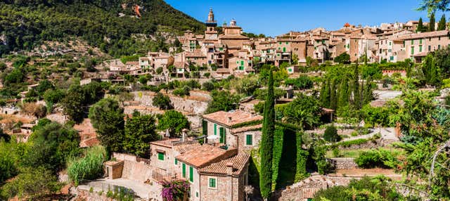 Excursión a Palma y Valldemossa en Alcudia
