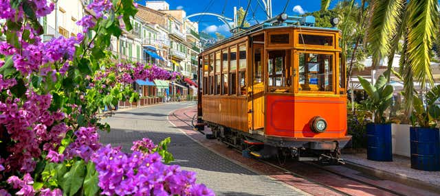 Excursión a Sóller + Tranvía y tren de madera en Palma Mallorca