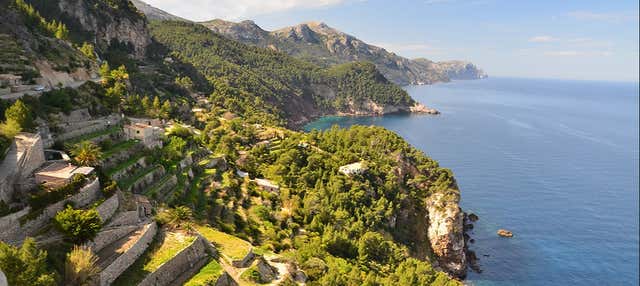 Excursión a Sóller y Valldemosa en Porto Cristo