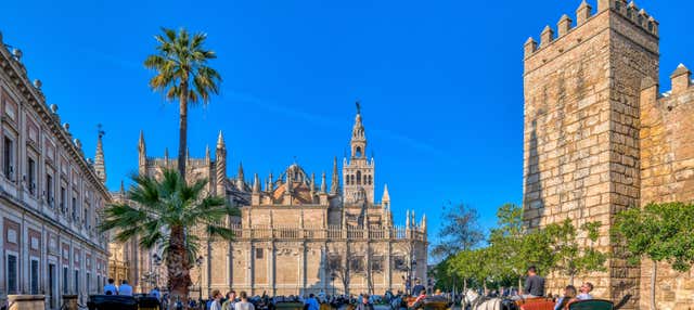 Excursión a Sevilla con visita a la catedral en Malaga