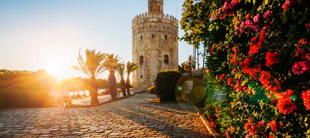 Excursión a Sevilla en Granada