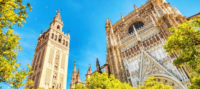Excursión a Sevilla en Torremolinos