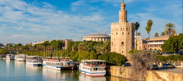 Excursión a Sevilla en Portil