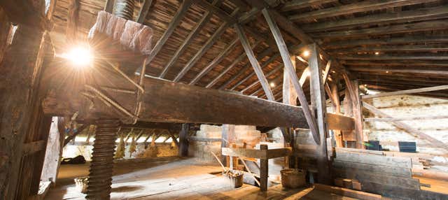 Excursión a un caserío vasco + Sidrería vasca en San Sebastian