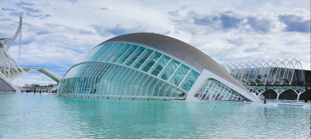 Excursión a Valencia + Oceanogràfic y Hemisfèric en Alcoceber