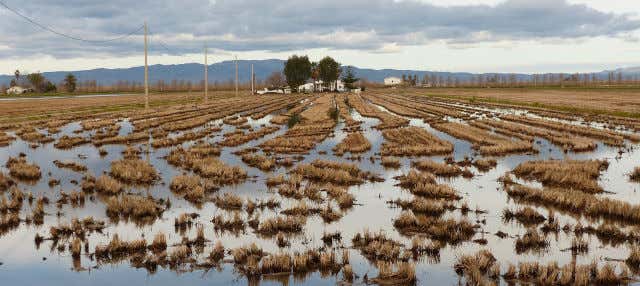 Excursión al Delta del Ebro + Paseo en catamarán en Benicassim