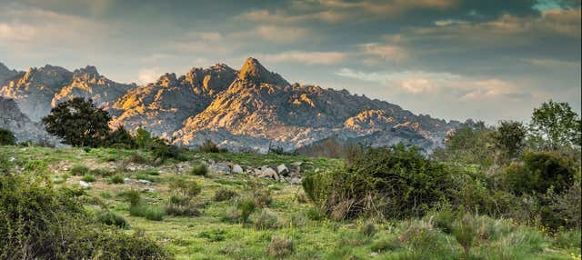 Excursión al Parque Nacional de la Sierra de Guadarrama en Madrid