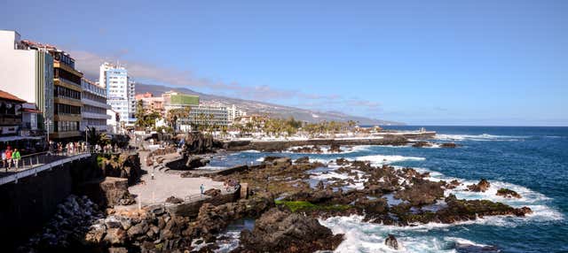 Excursión al Puerto de la Cruz por libre en Los Cristianos