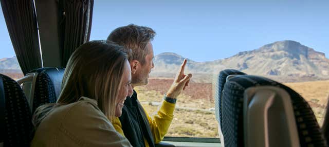 Excursión al Teide desde el sur de Tenerife en Costa Adeje