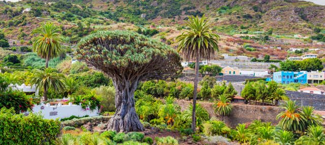 Excursión al Teide, Icod, Masca y Garachico desde el sur de Tenerife en Playa De Las Americas