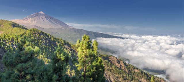 Excursión al Teide y La Orotava para cruceros en Santa Cruz De Tenerife