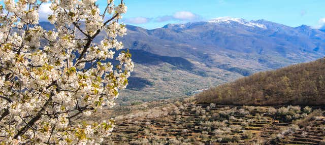 Excursión al Valle del Jerte en Caceres