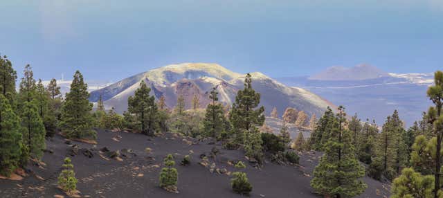 Excursión al volcán Tajogaite en Fuencaliente De La Palma