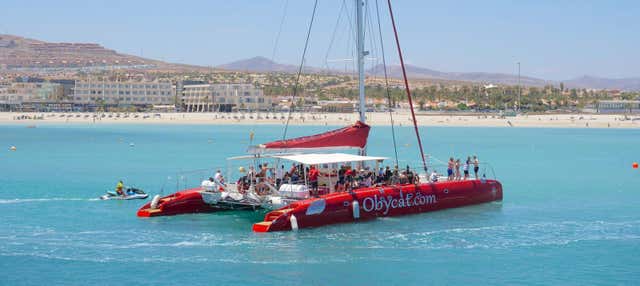 Excursión en catamarán desde Caleta de Fuste en Castillo Caleta De Fuste