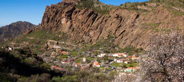 Excursión por las cumbres de Gran Canaria en Meloneras