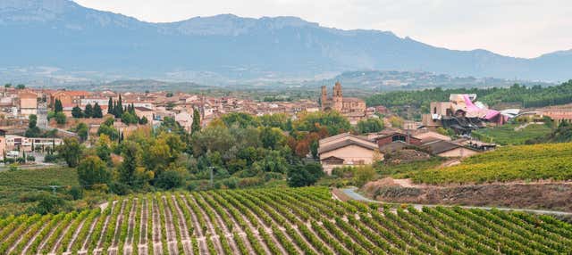 Excursión privada desde Logroño en Logrono