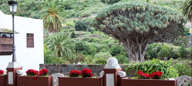 Excursión privada por Tenerife en Santa Cruz De Tenerife