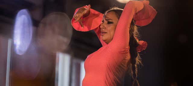 Flamenco en Albaicín: Jardines de Zoraya en Granada