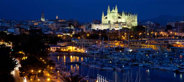 Free tour de los misterios y leyendas de Palma en Palma Mallorca