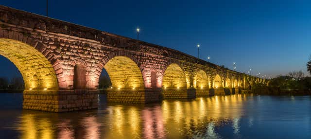 Free tour del erotismo en la Mérida romana en Merida