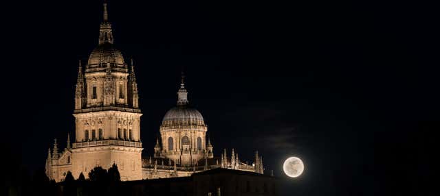 Free tour nocturno por Salamanca en Salamanca