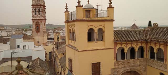 Free tour por Écija en Ecija