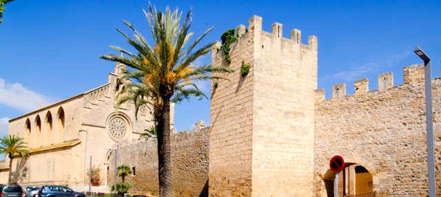 Free tour por Alcudia en Alcudia